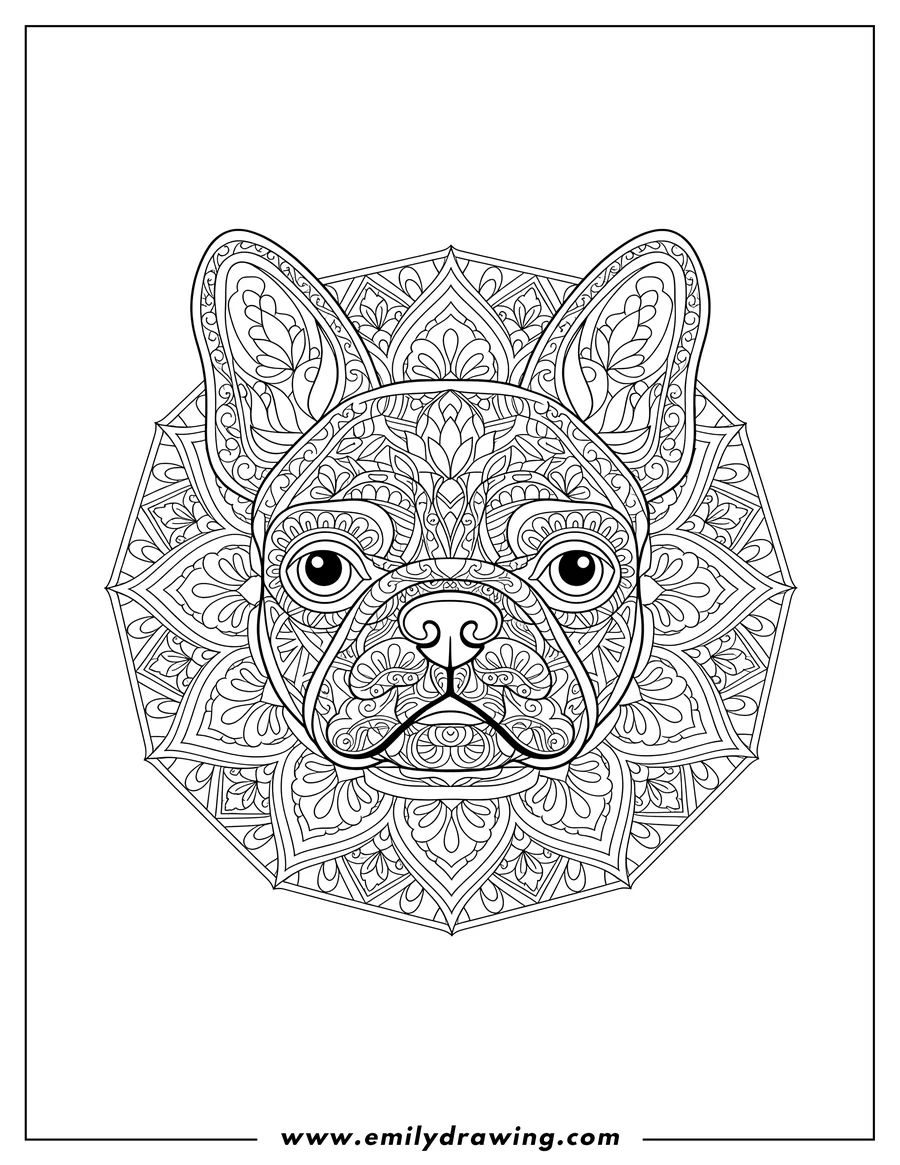 Coloring page for kids: french Bulldog Mandala, French Bulldog head, frontal view, centered