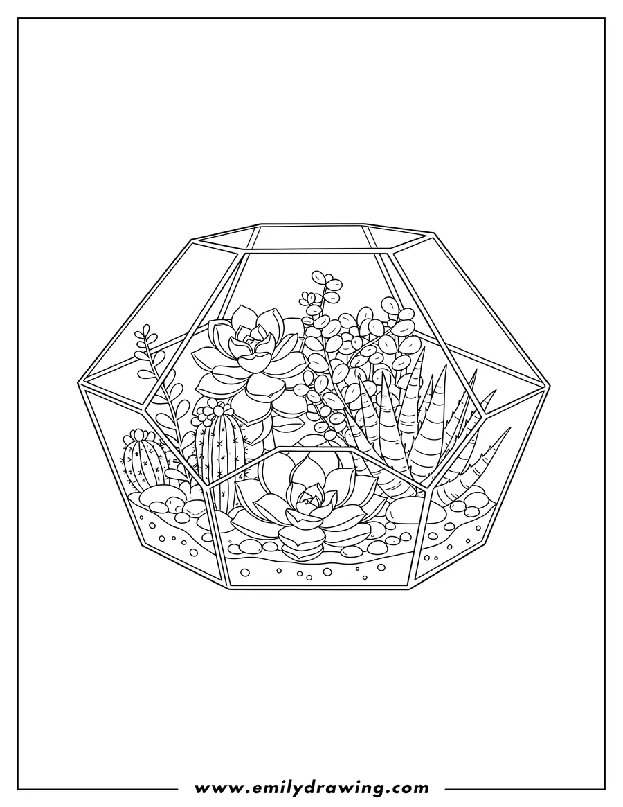 Printable line art of geometric glass terrarium with multiple succulents and plants Coloringsheet