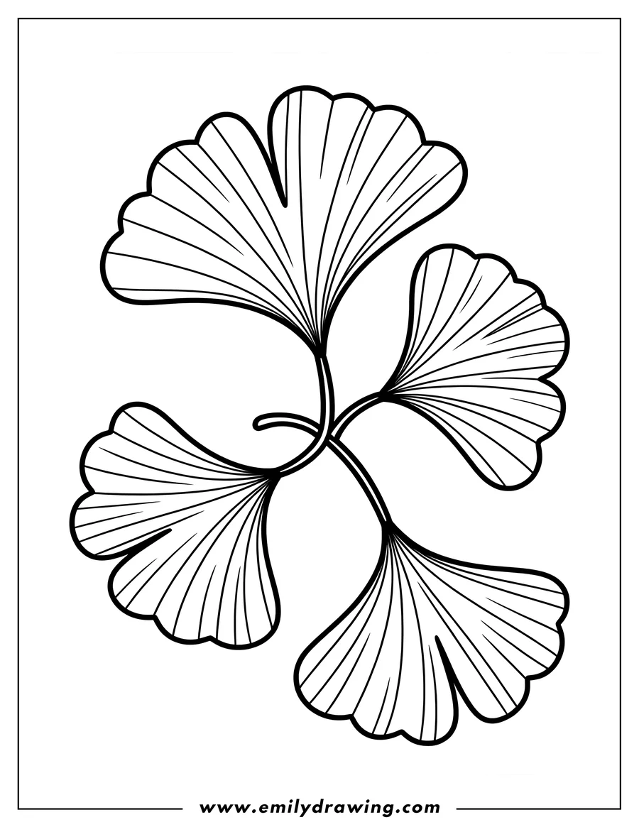 Printable coloring page of ginkgo Leaves