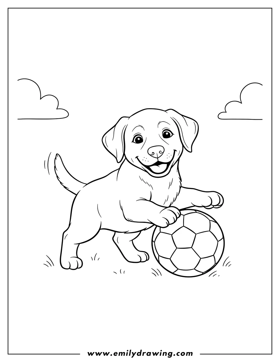 High quality printable smiling Labrador puppy playing with a ball for coloring