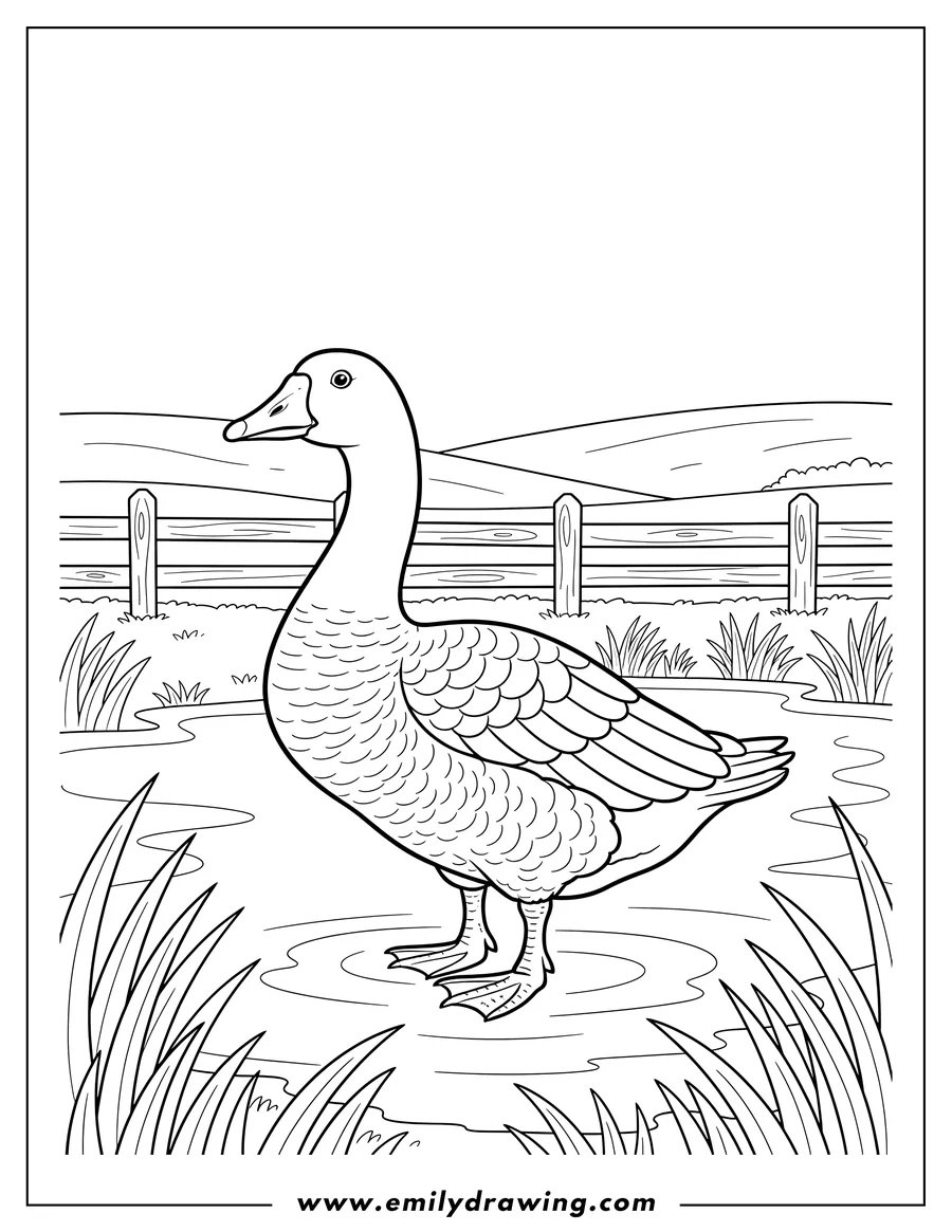 Full page coloring image of goose Standing beside a Pond, Looking Left, in Marshy Grass Near Fenced Pasture