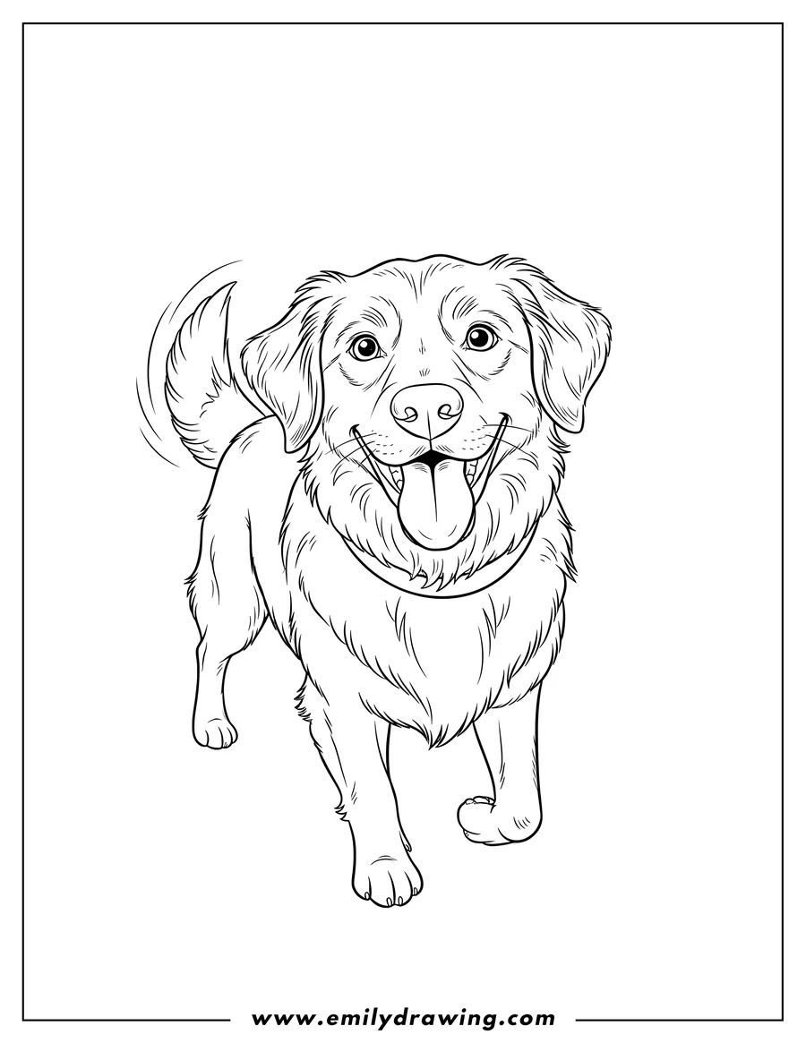 Linear illustration of happy Nova Scotia Duck Tolling Retriever Dog with its tongue out