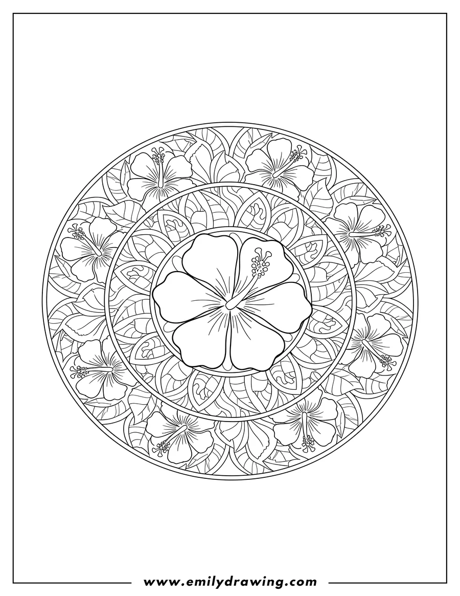 Outline drawing of hibiscus Flower Mandala, circular, intricate line art