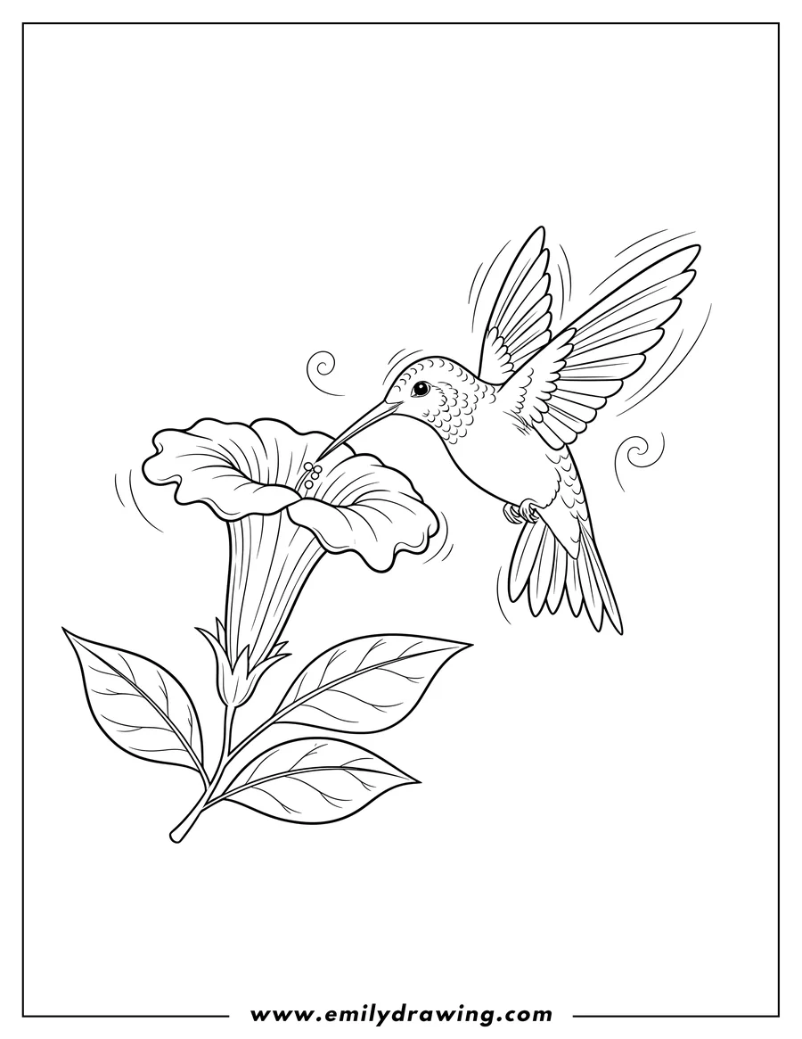 Free to print drawing of hummingbird hovering, sucking nectar from a large flower