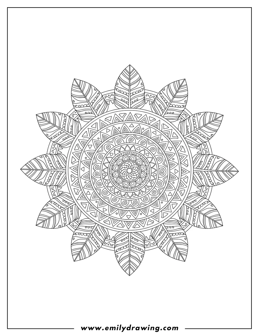 Clean line drawing: intricate circular Native American mandala with feather-like leaves and geometric designs