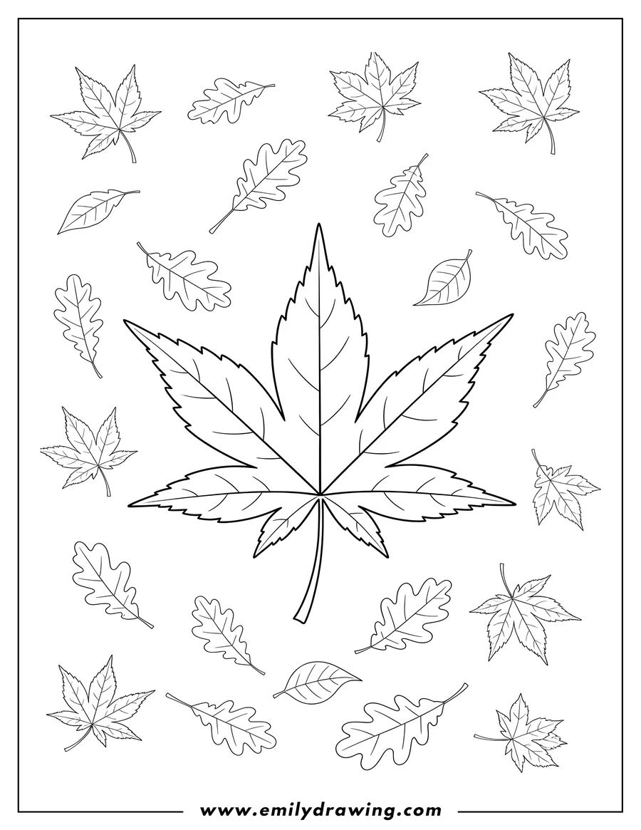 Printable coloring page of japanese Maple Fall Leaf, large central, with small scattered autumn leaves