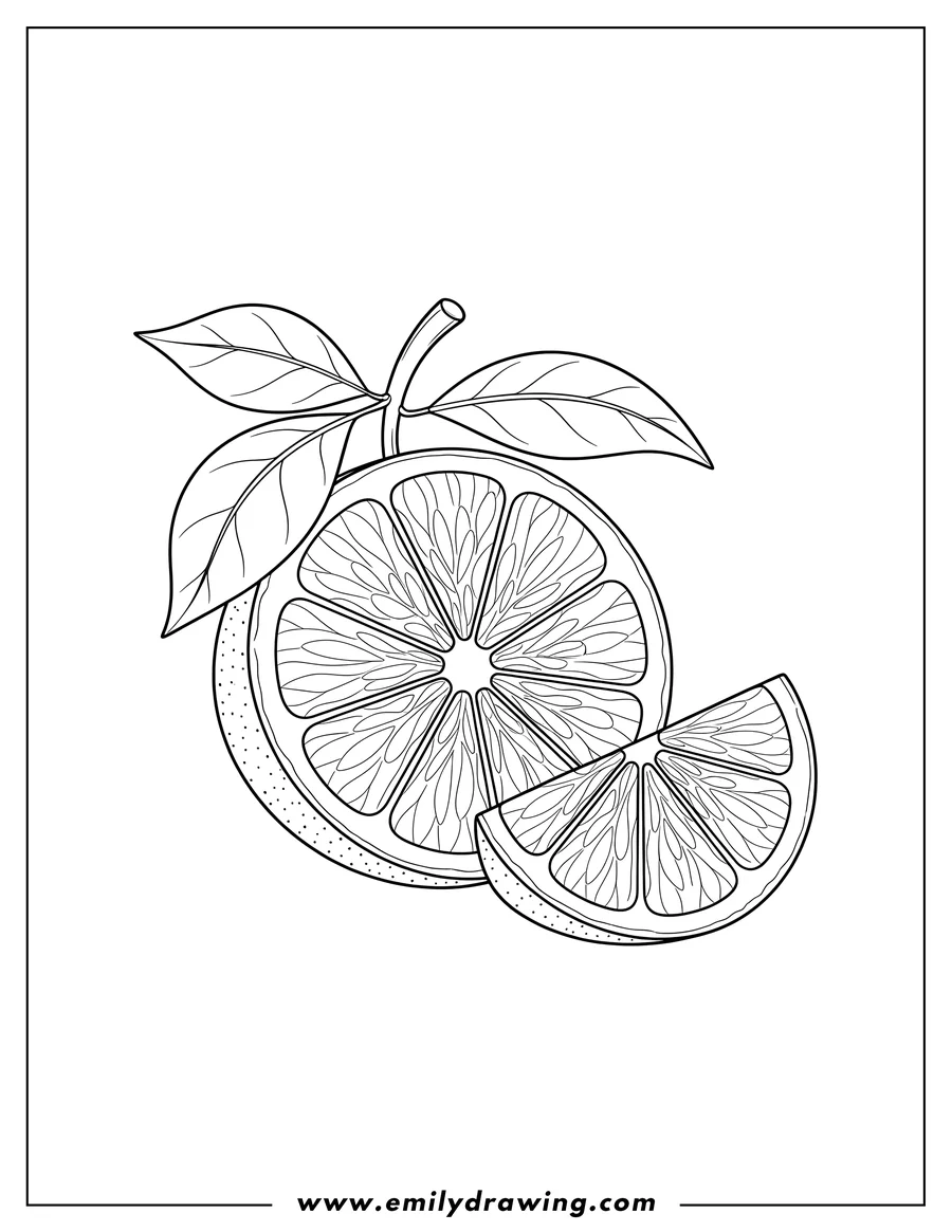 PDF style coloring page: juicy Green Lemon cross-section with a wedge and leaves