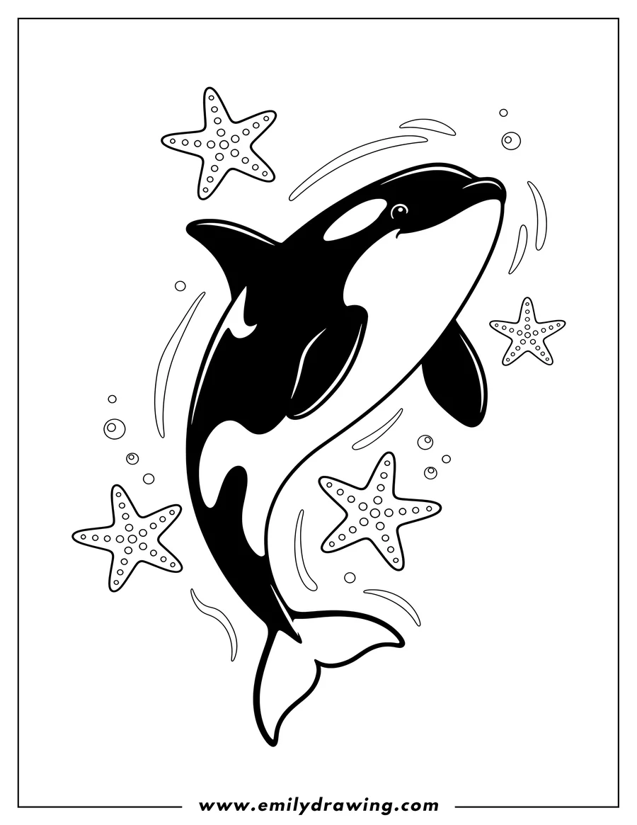 Outline drawing of killer Whale swimming upwards, surrounded by starfish
