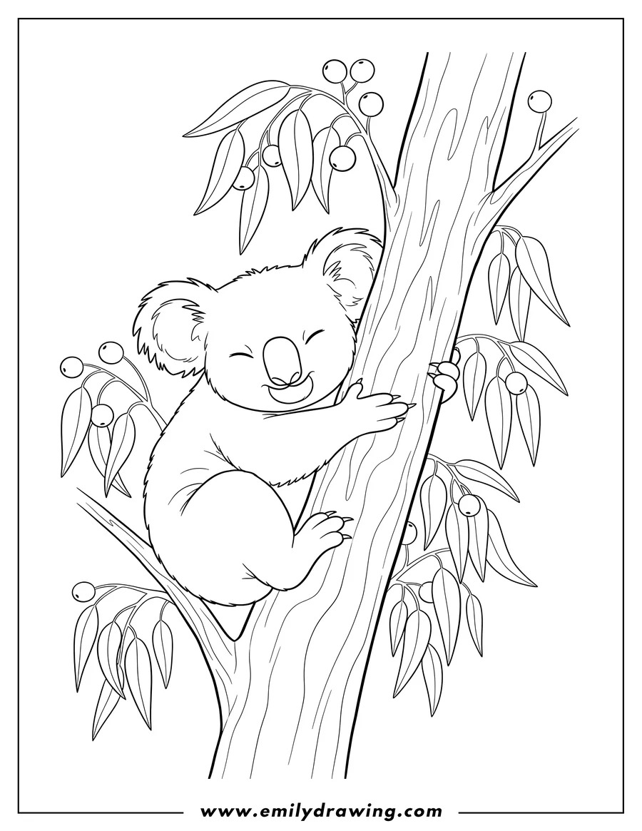 Black and white line art of koala sleeping, clinging to a gum tree with eucalyptus leaves