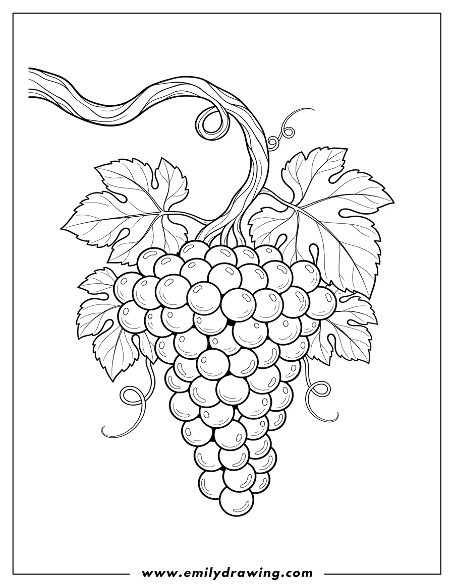 Free to print drawing of A large bunch of grapes, coloring page