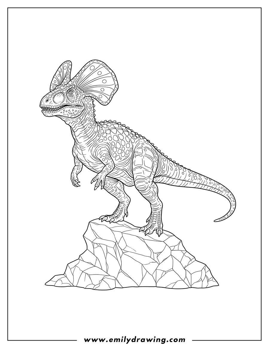 Coloring page of large Detailed Dilophosaurus with prominent crests standing on a rock