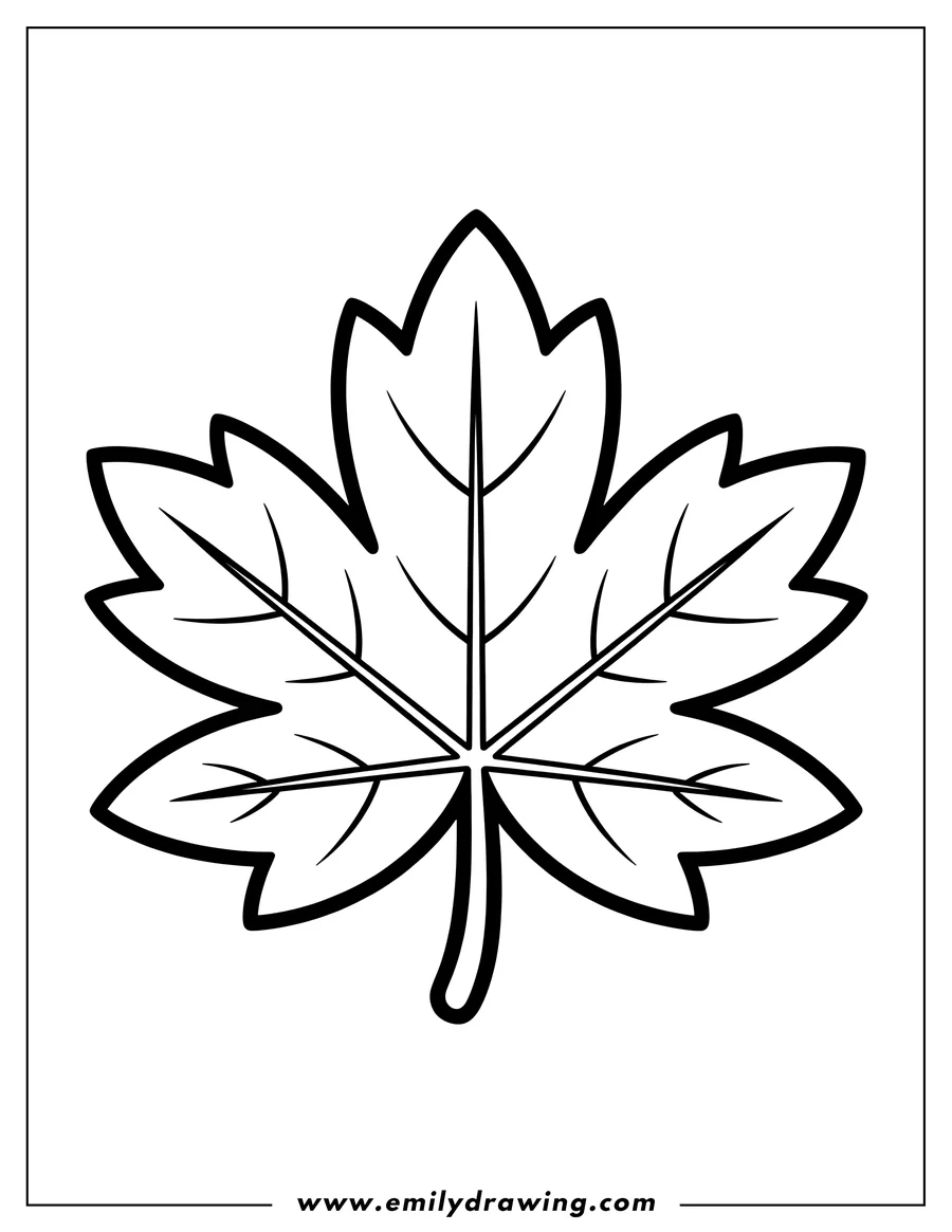 Simple sketch of maple Leaf to color