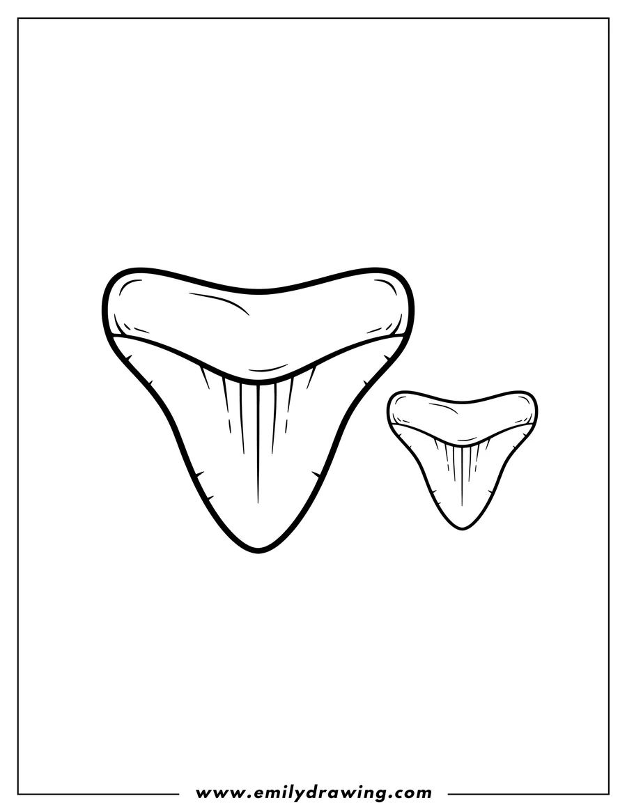 Coloring page for kids: megalodon Teeth Comparison, with a large tooth and a small tooth side by side