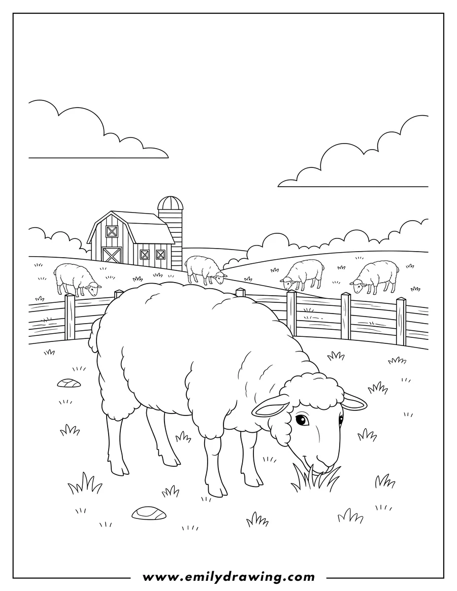 Outline drawing of multiple sheep grazing on a farm, with one large sheep in the foreground