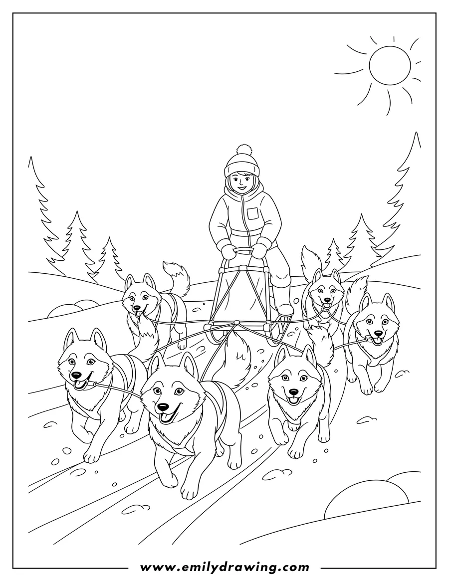 Simple sketch of musher standing on a sled, driving a team of running huskies led by a prominent husky to color