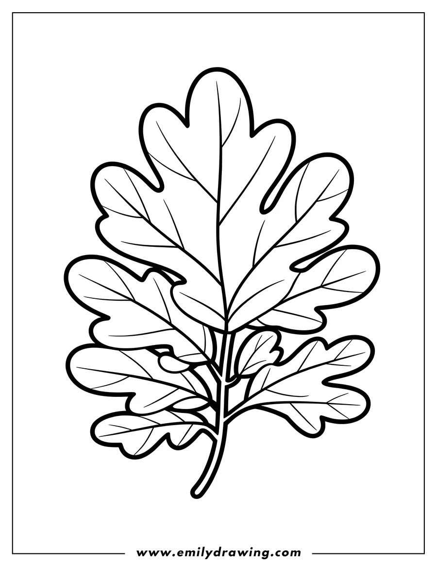 Coloring page for kids: oak Leaves
