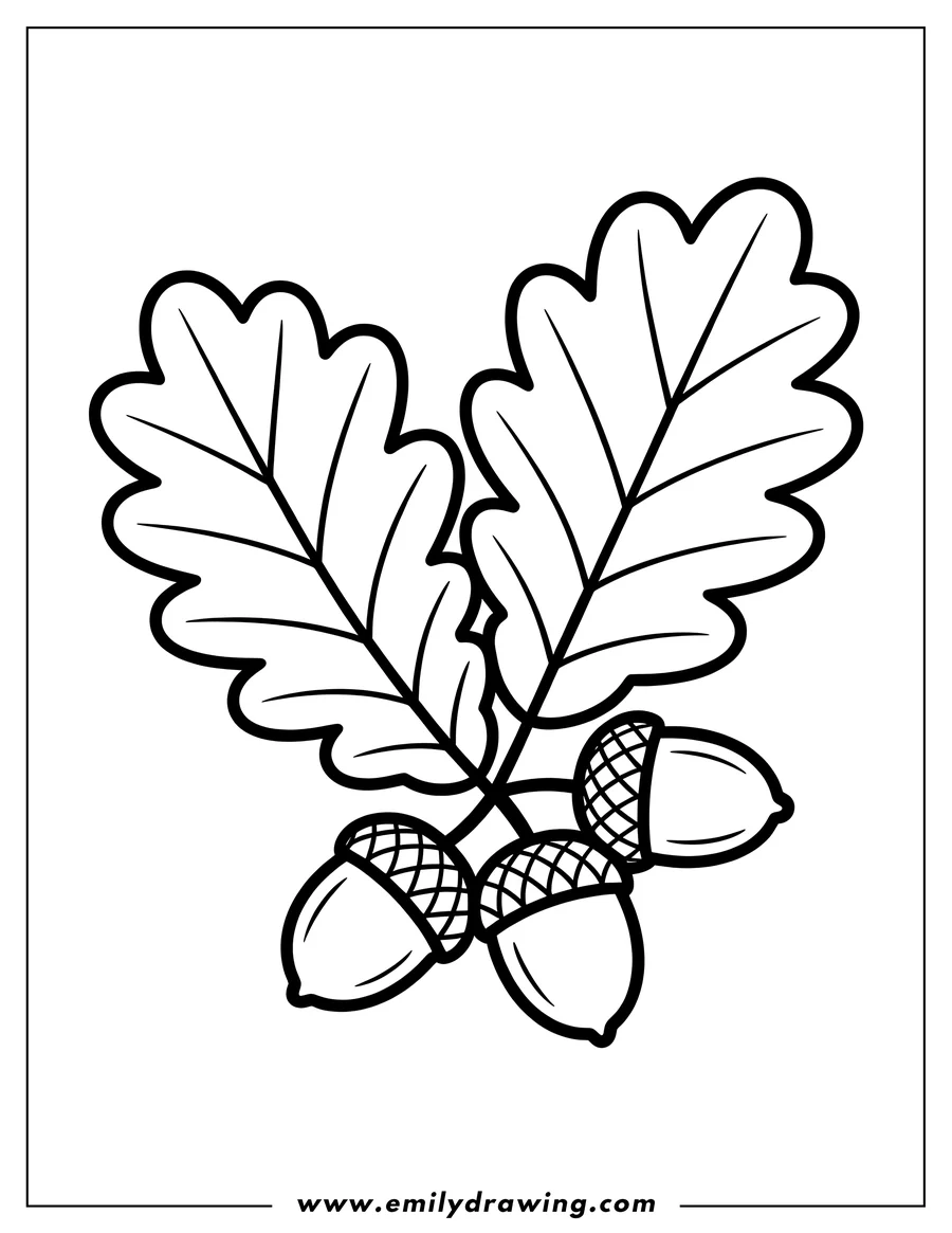 Vector style outline of oak Leaves