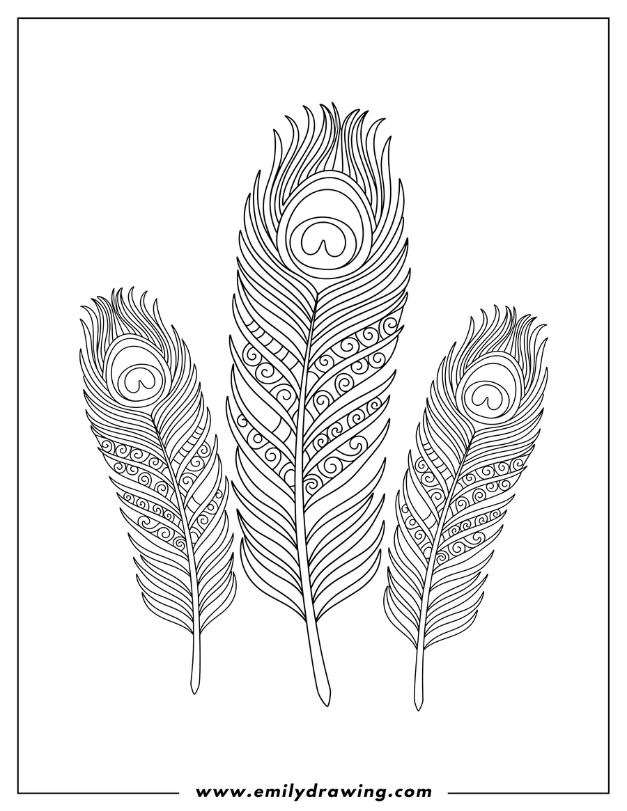 Printable line art of peacock Bird Feather Scaled, featuring three upright feathers for coloring
