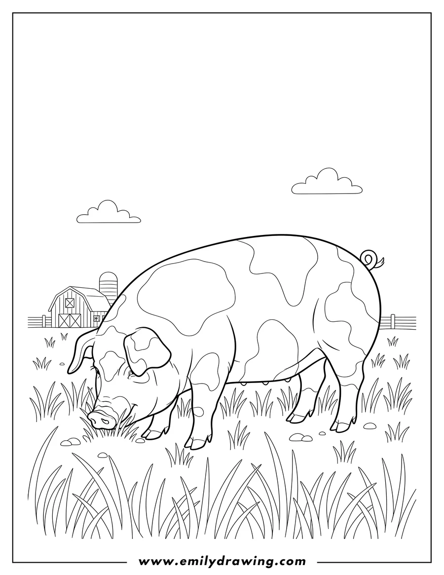 Outline of a spotted pig with a curly tail grazing in tall grass. A barn and fence are in the background.