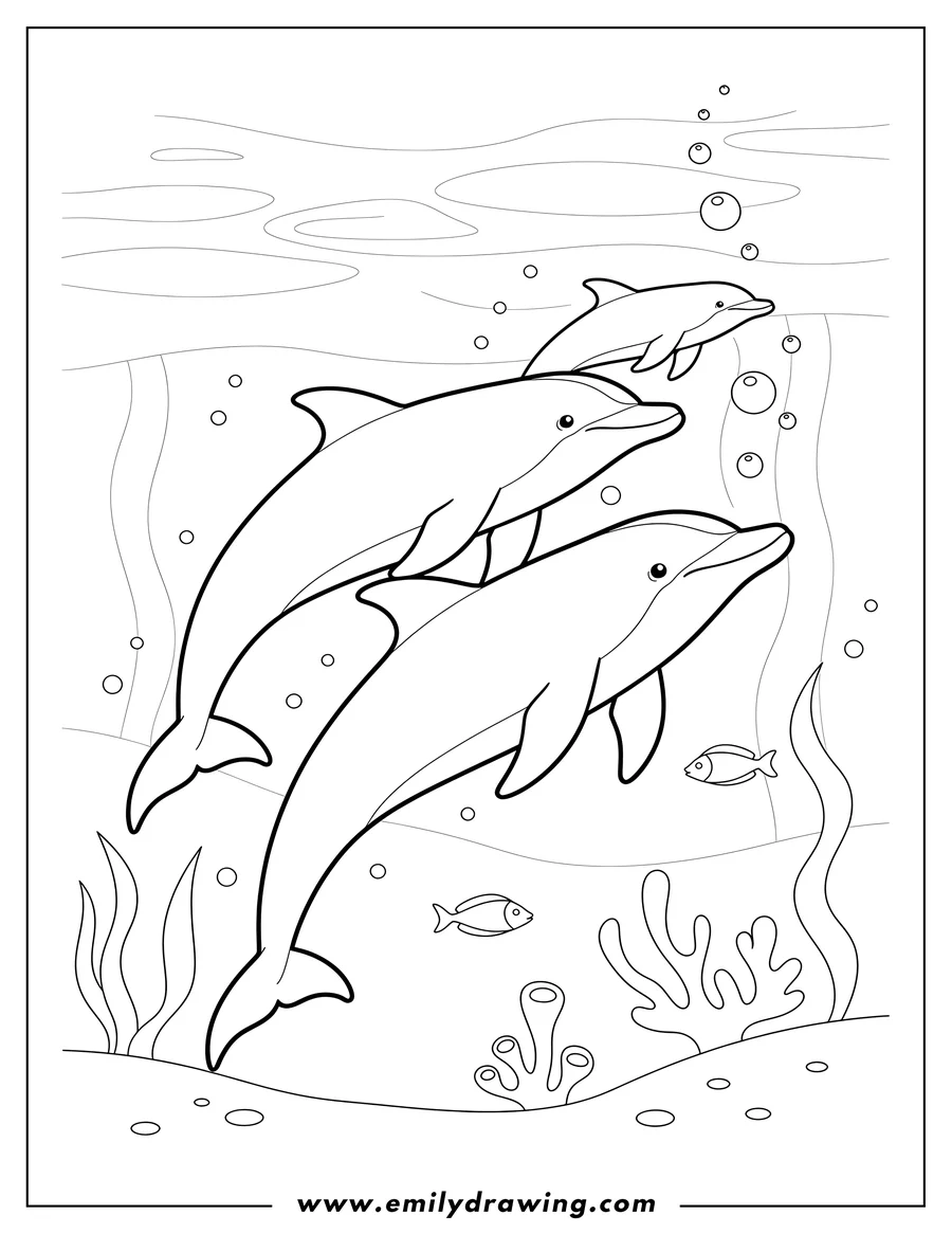 Outline drawing of pod Dolphins Underwater Scaled, swimming upwards, smaller dolphin above two larger ones