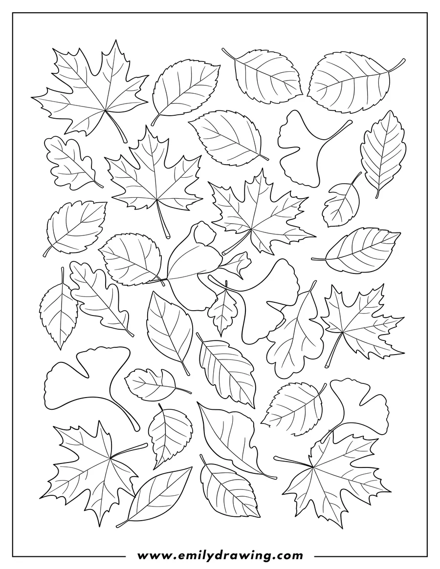 Printable line art of assorted Fall Leaves To Color, scattered and in various shapes