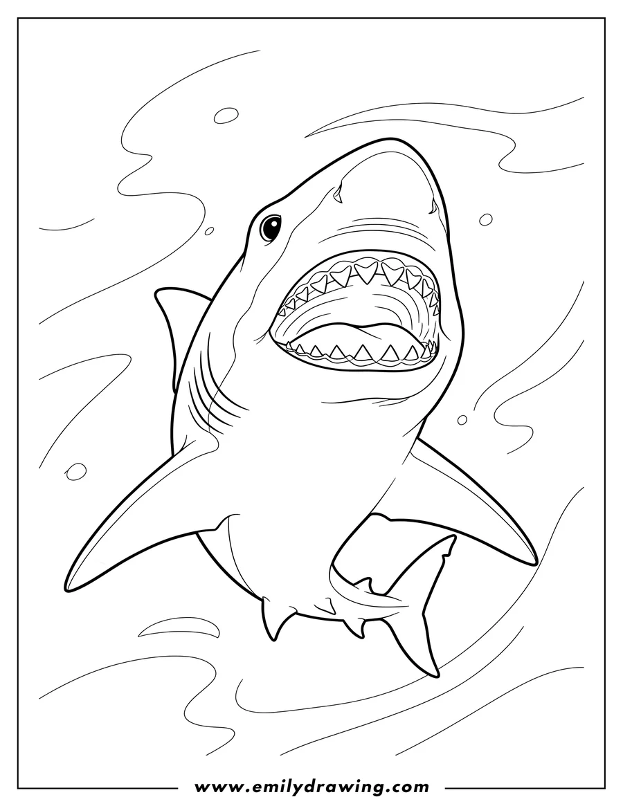 Coloring sheet featuring close Up Bull Shark, mouth wide open, swimming up
