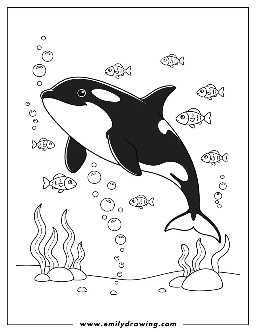 Linear illustration of killer Whale swimming with small fish and bubbles in an ocean habitat