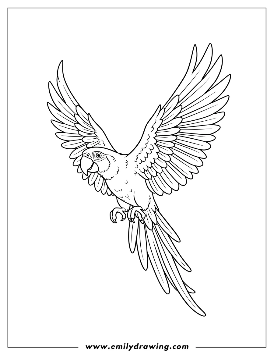 Doodle style coloring picture of parrot Flying With Large Wings, with a long trailing tail and tucked talons