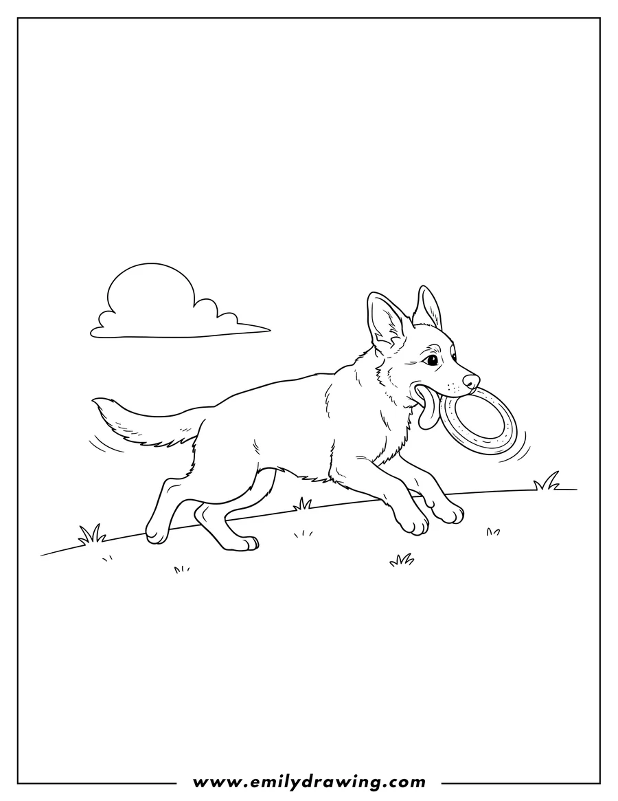 Vector style outline of puppy German Shepherd running with a frisbee in its mouth, tongue out