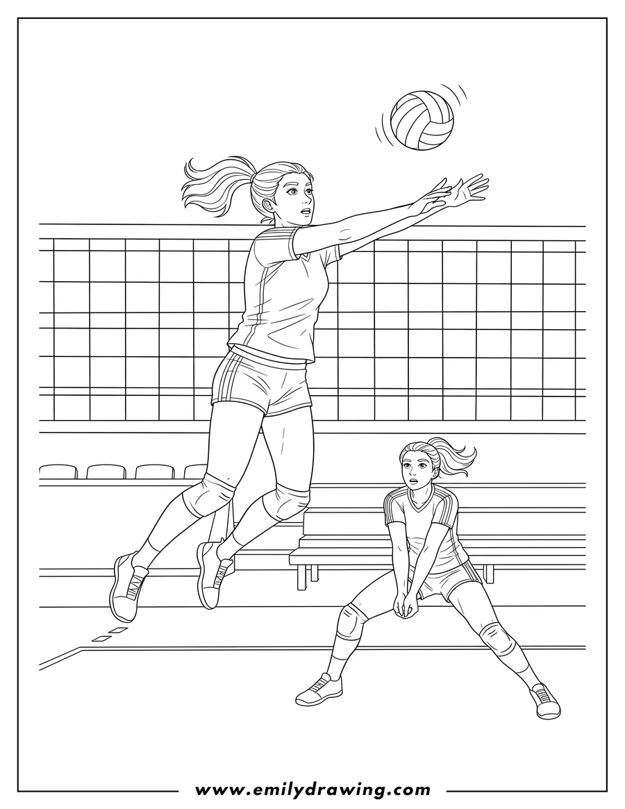 Linear illustration of realistic Woman jumping to block volleyball over net with arms extended, another player on the court