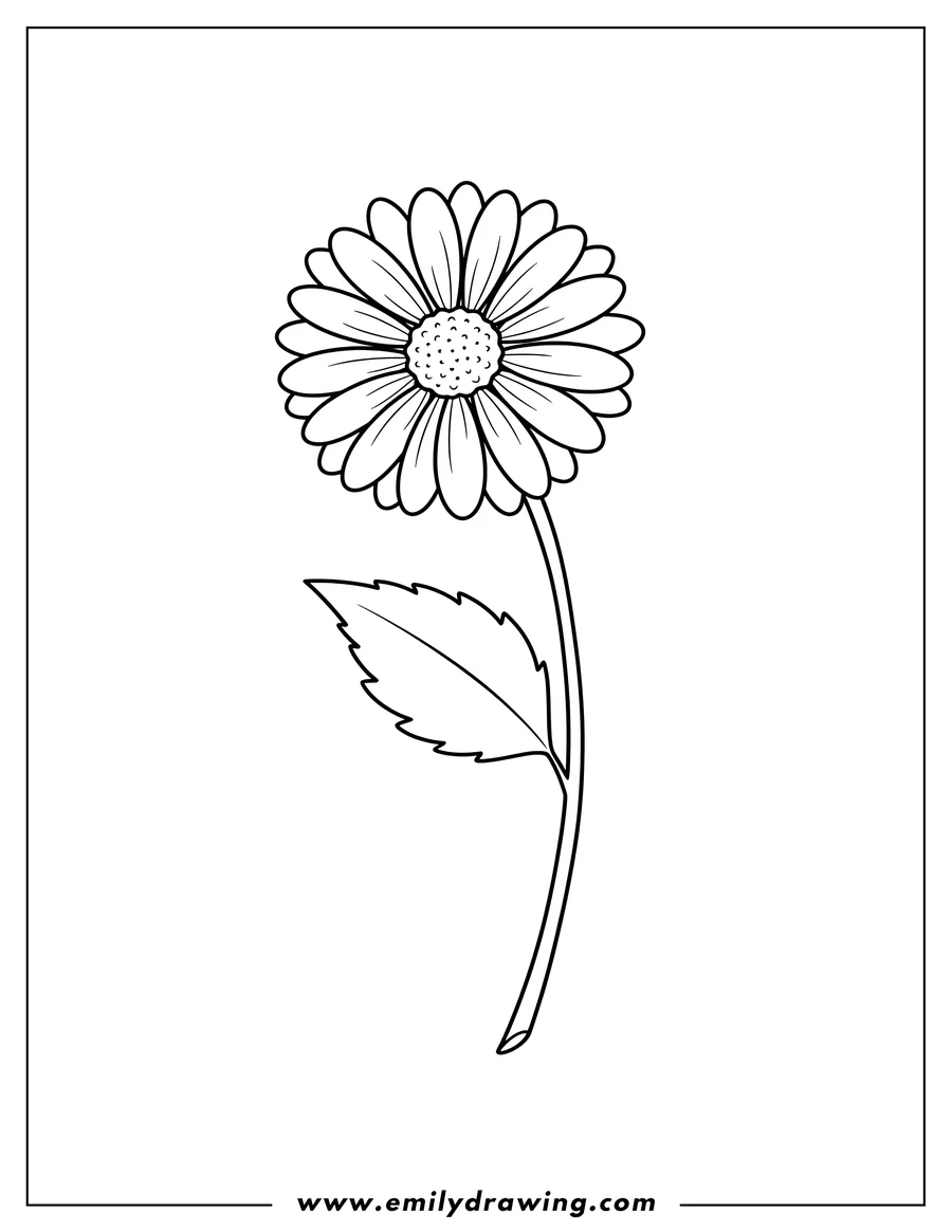 Doodle style coloring picture of simple Outline Daisy To Color with a long stem and a single leaf