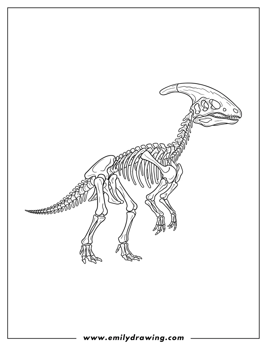 Printable coloring page of standing Parasaurolophus skeleton