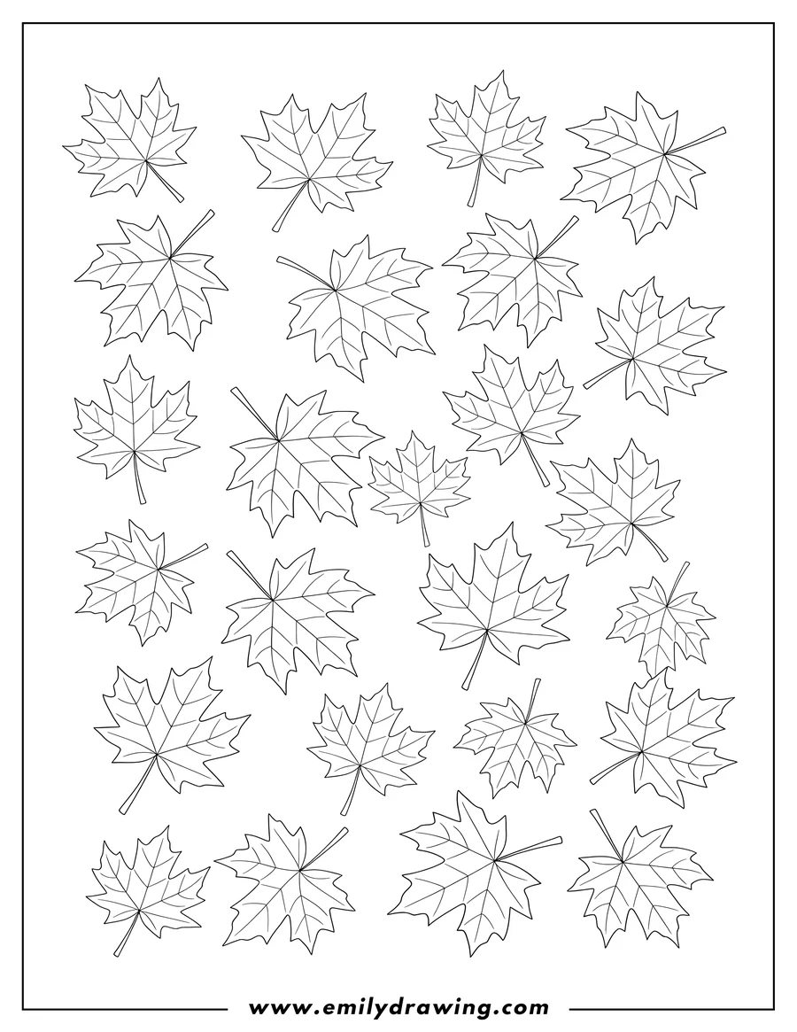 Linear illustration of many scattered Fall Sugar Maple Leaves
