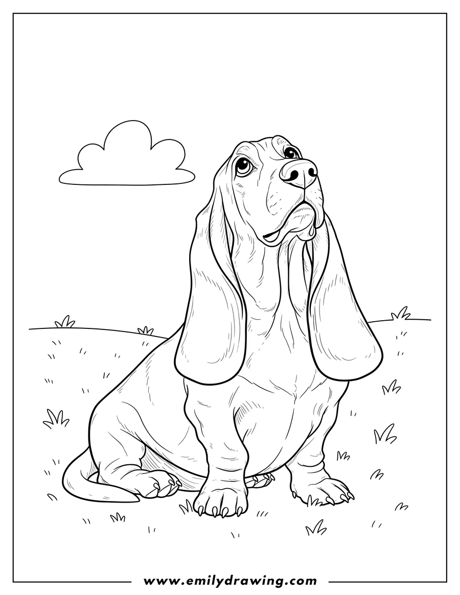 Coloring page for kids: basset Hound sitting with long floppy ears, looking up
