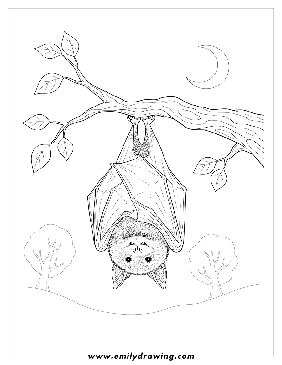 Full page coloring image of realistic Bat Hanging Upside Down from a Tree Branch