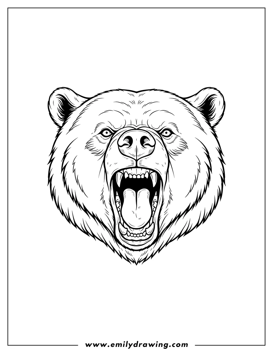 Printable line art of realistic Bear Head Roaring, Mouth Wide Open