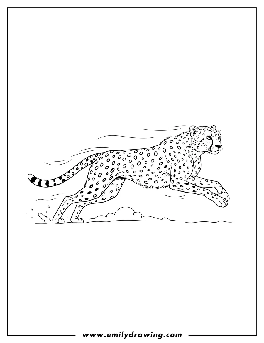 Coloring page for kids: realistic Cheetah Mid Run, body stretched out