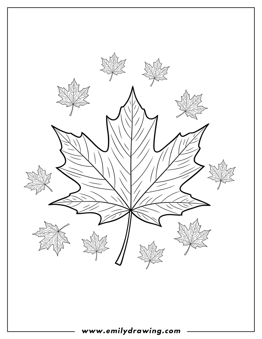 Free printable coloring sheet of large realistic Fall Maple Leaf with smaller scattered leaves