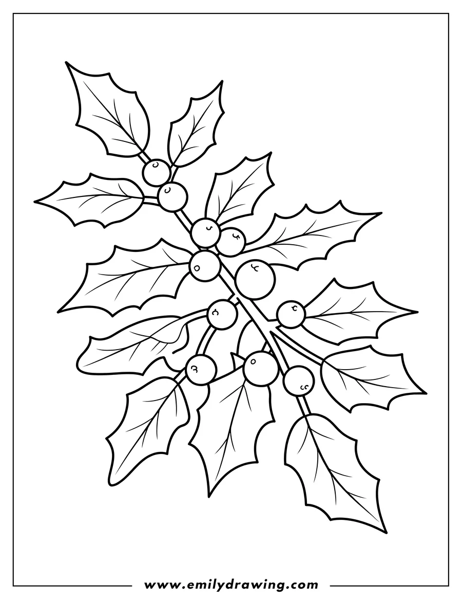 Free to print drawing of holly Sprig