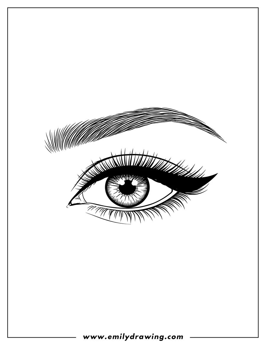 Coloring sheet featuring realistic Outline Eyebrows And Eye With Eyeliner, with feathered brow, long eyelashes, and winged eyeliner