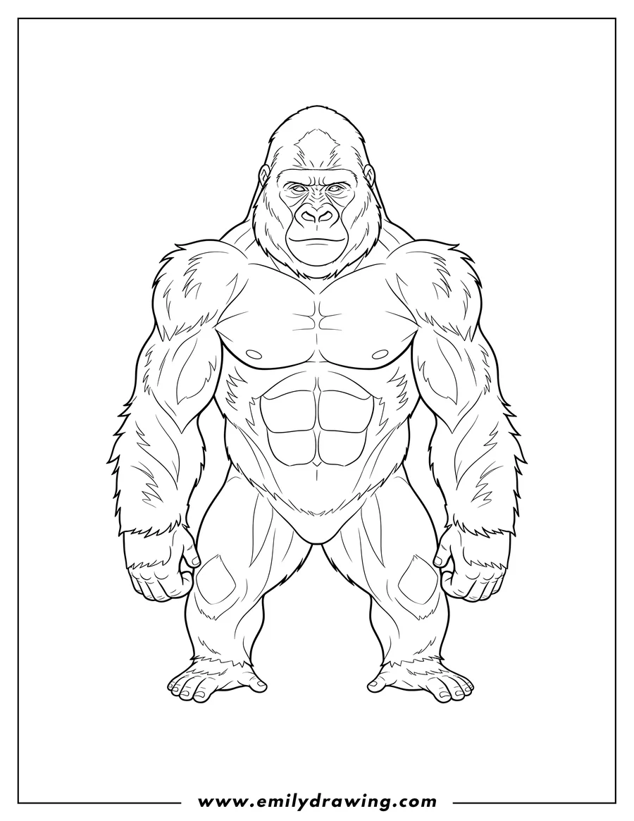 Coloring sheet featuring powerful Adult Gorilla With Muscular Build, standing and looking forward