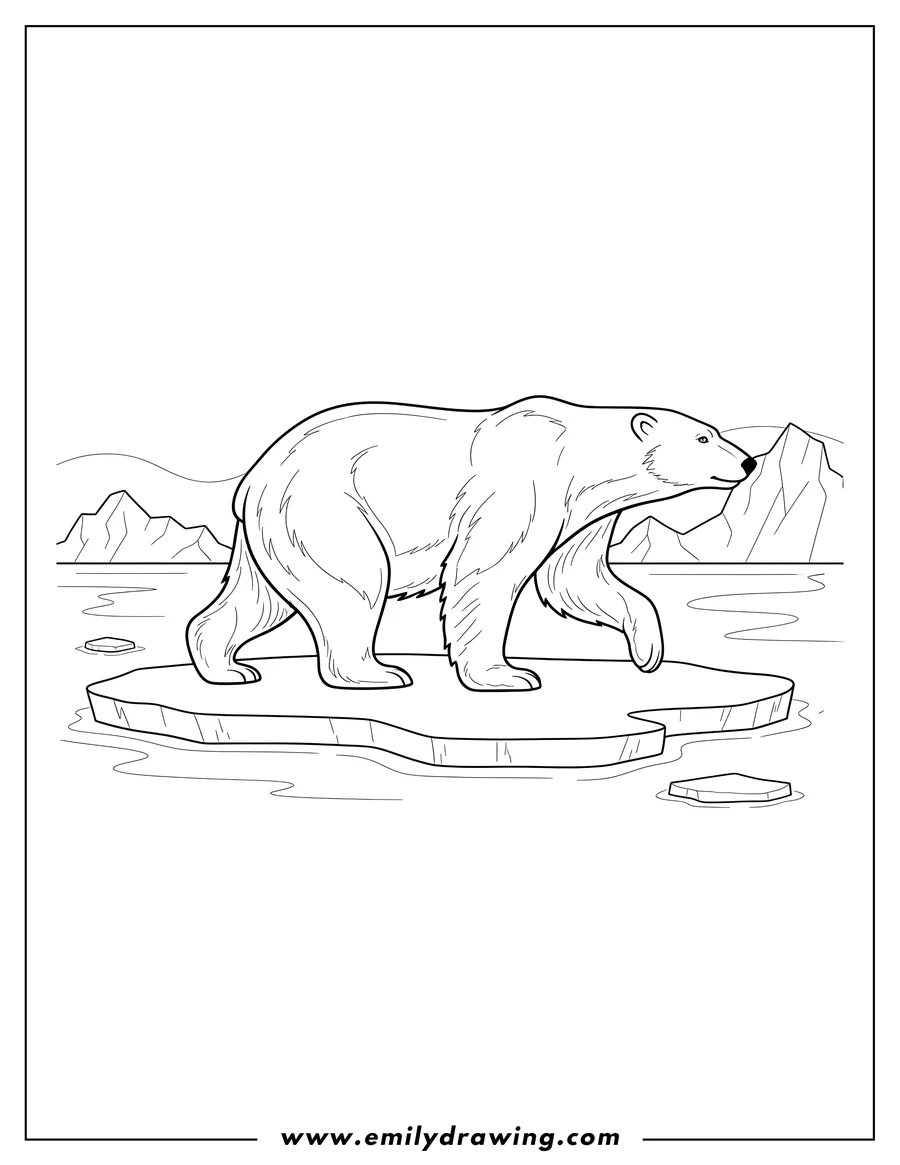Downloadable coloring page of polar Bear walking in profile, mid-stride, on Arctic ice floes