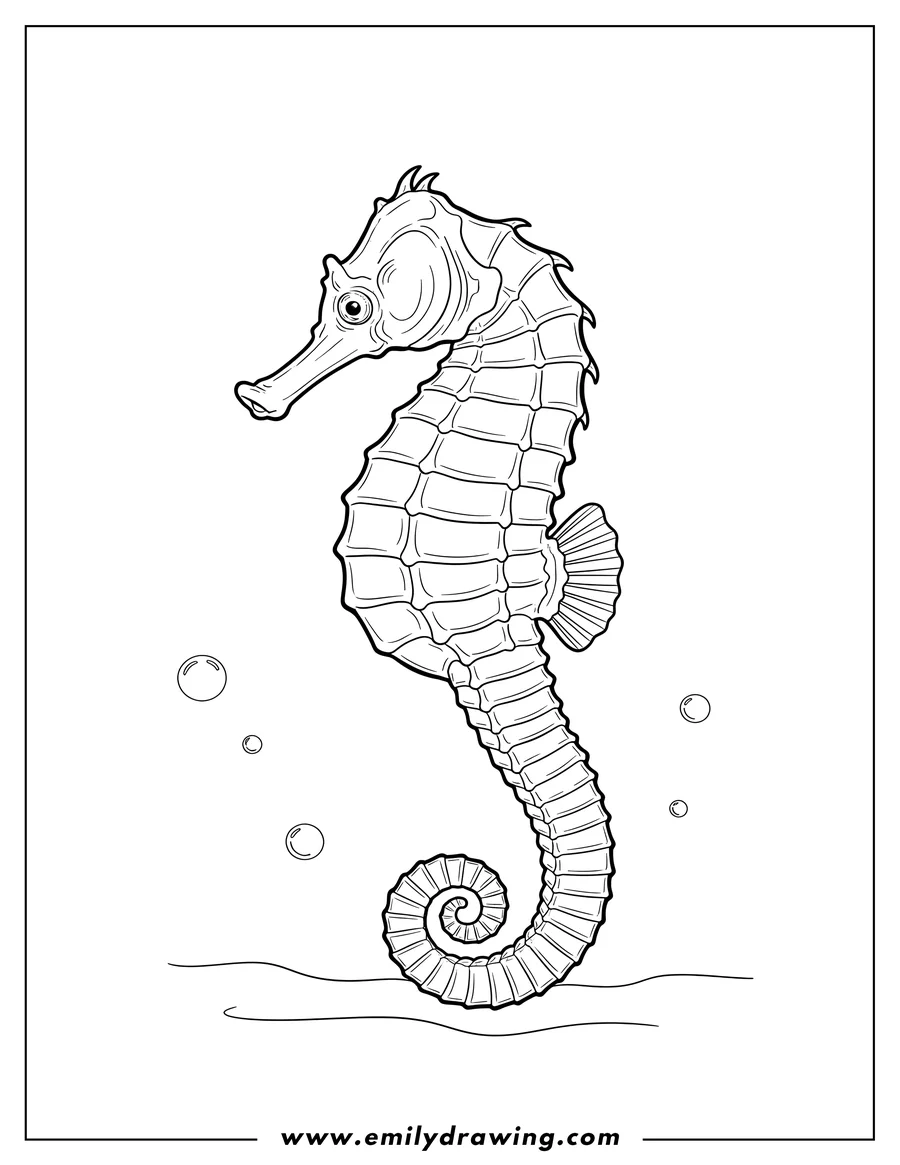 Printable line art of realistic Looking Seahorse To Color, standing upright with its tail curled