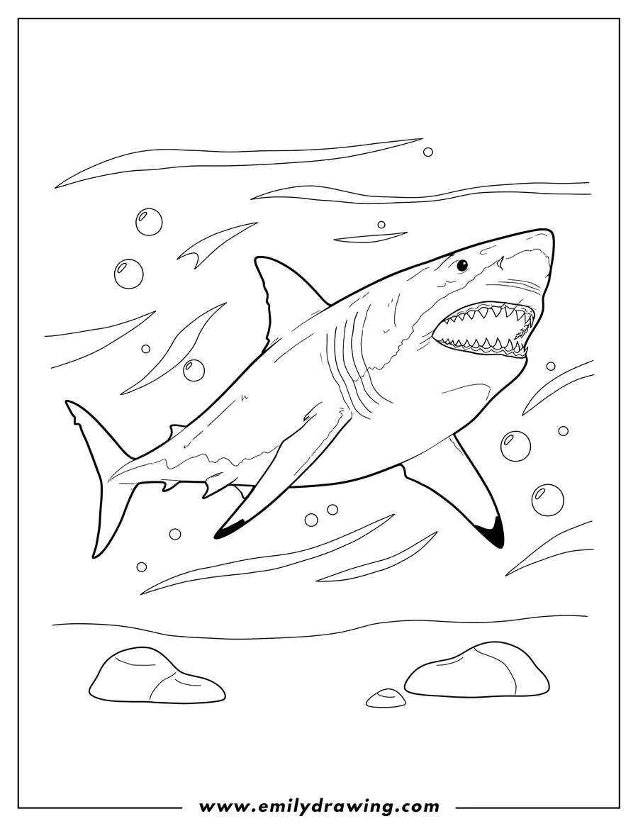 Doodle style coloring picture of realistic shark swimming with open mouth