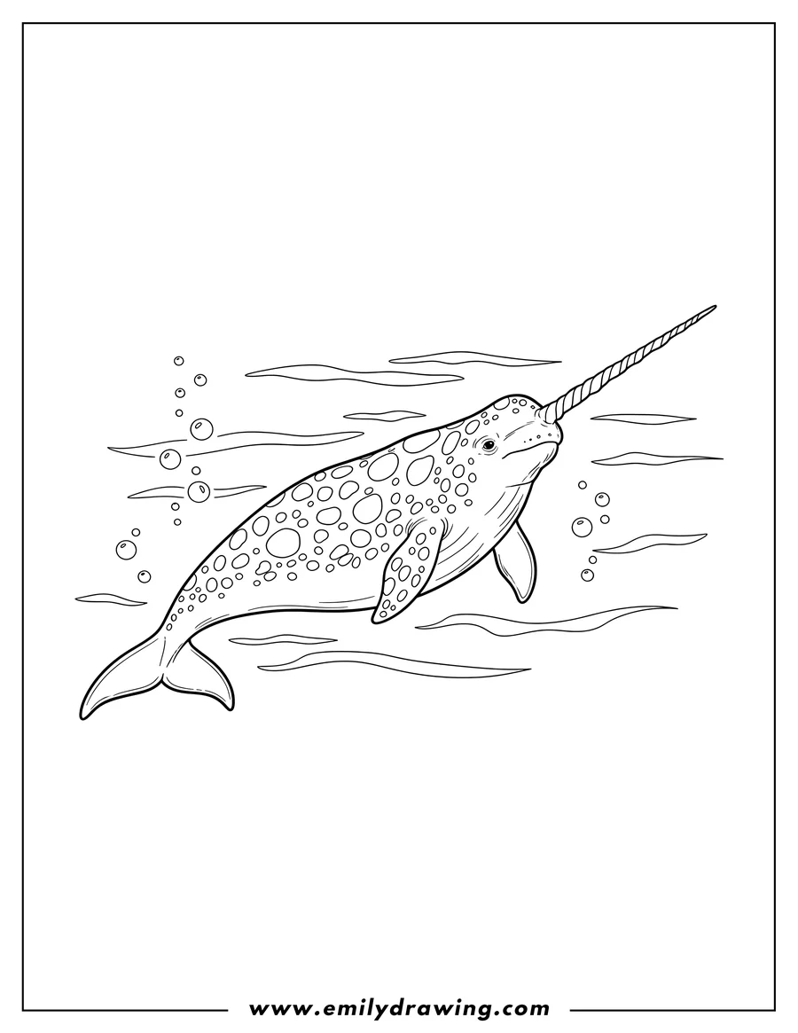 Printable coloring page of realistic spotted narwhal swimming with a long tusk, to color