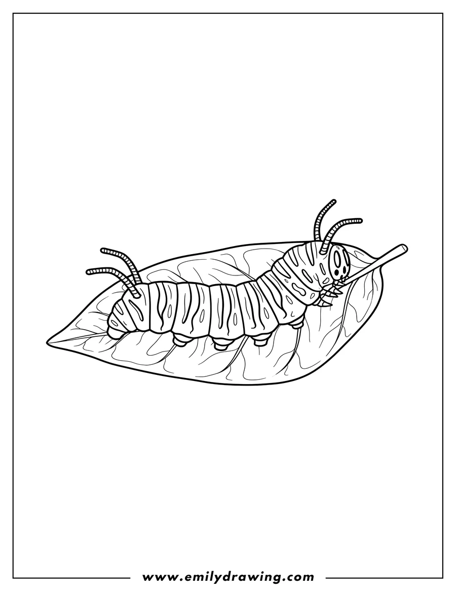 Printable coloring page of striped Monarch Caterpillar with feelers on a leaf to color