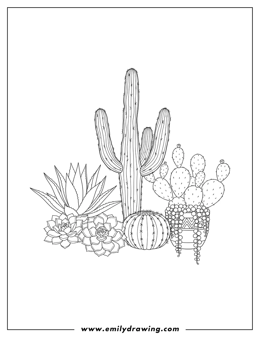 Printable coloring page of realistic succulents and cacti coloring page