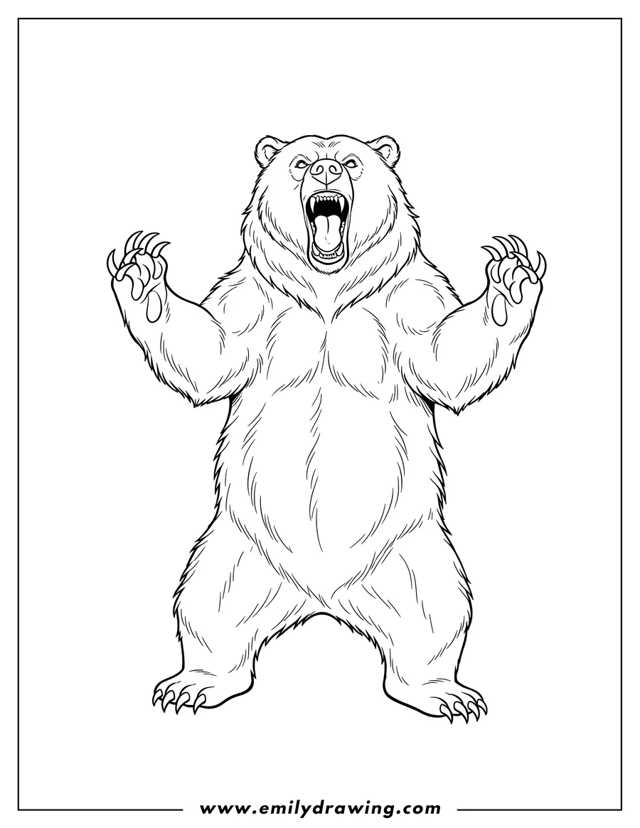 Clean line drawing: A roaring bear with sharp teeth and claws, in a dynamic standing pose