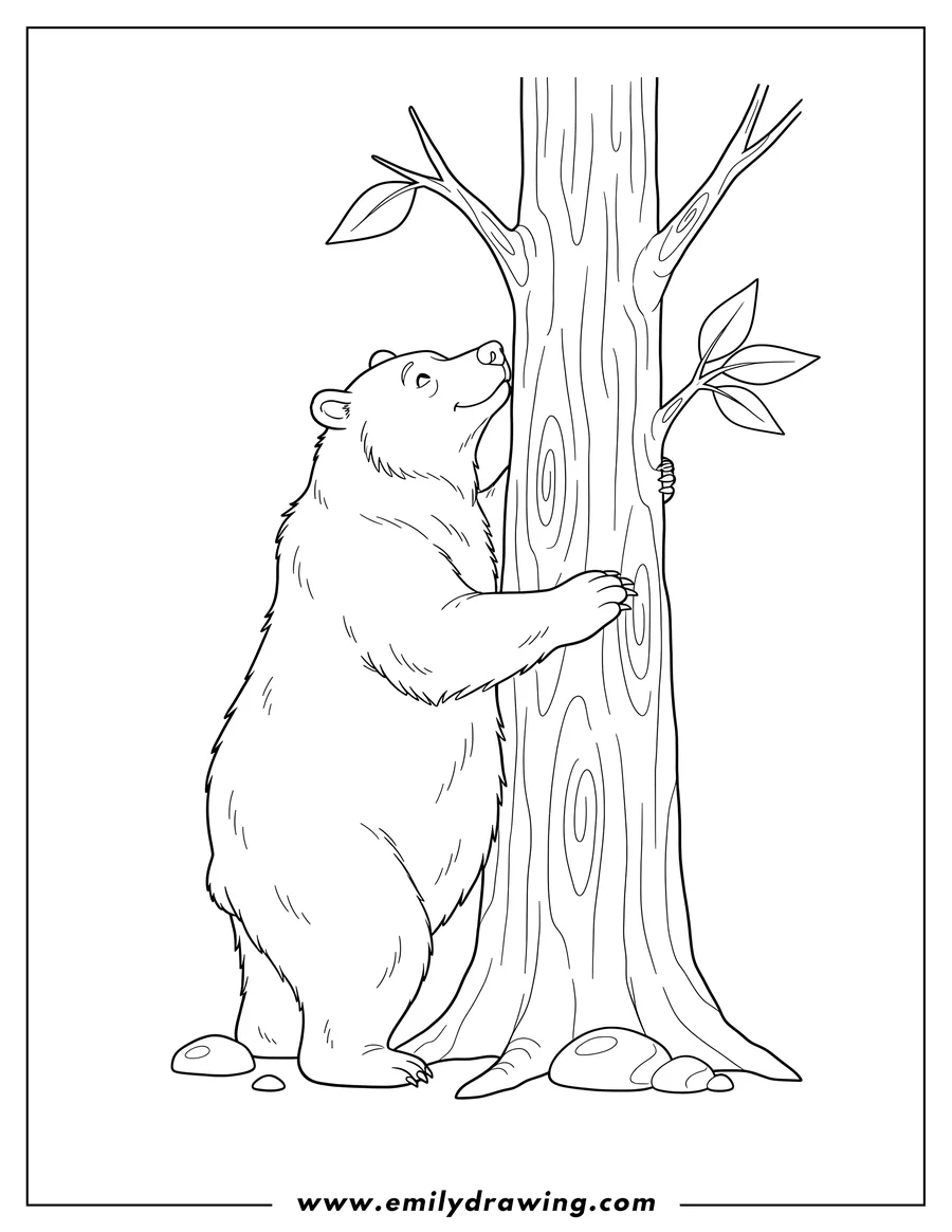 Simple sketch of adult Bear Standing Up, Rubbing Back On Tree, Looking Up to color