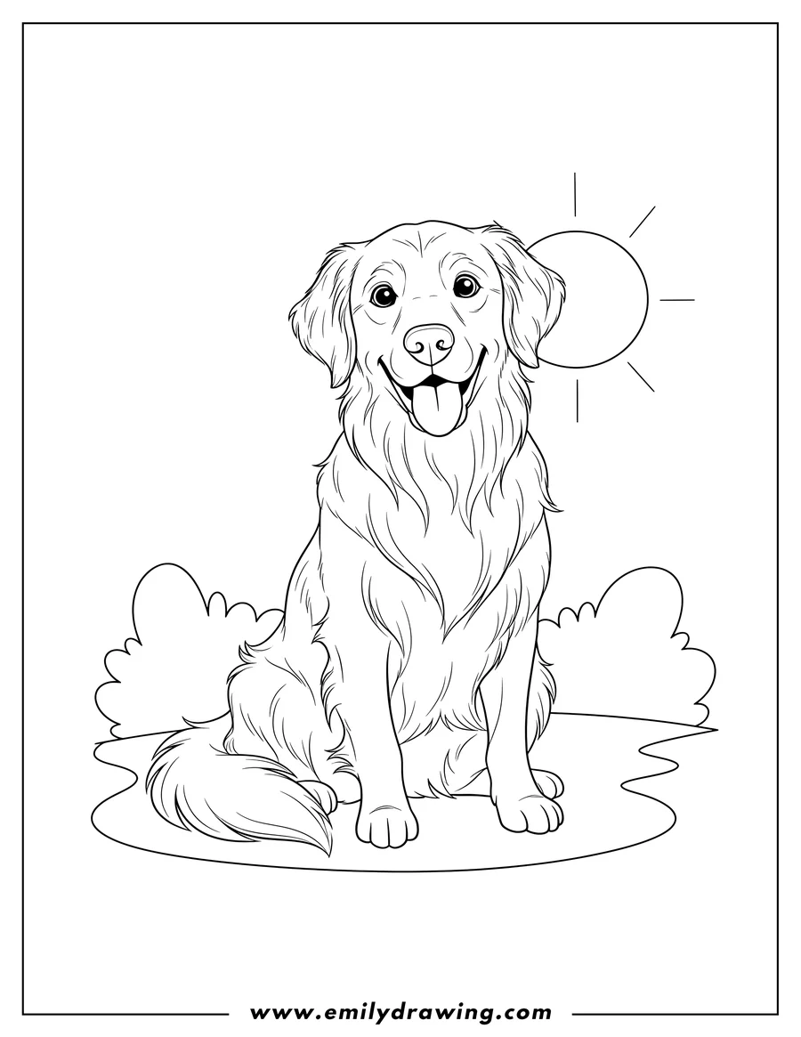 Vector style outline of simple Adult Golden Retriever sitting happily